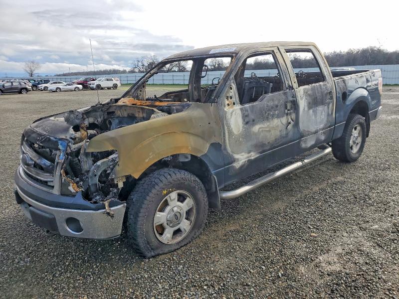 BURN on 2013 FORD ALL MODELS