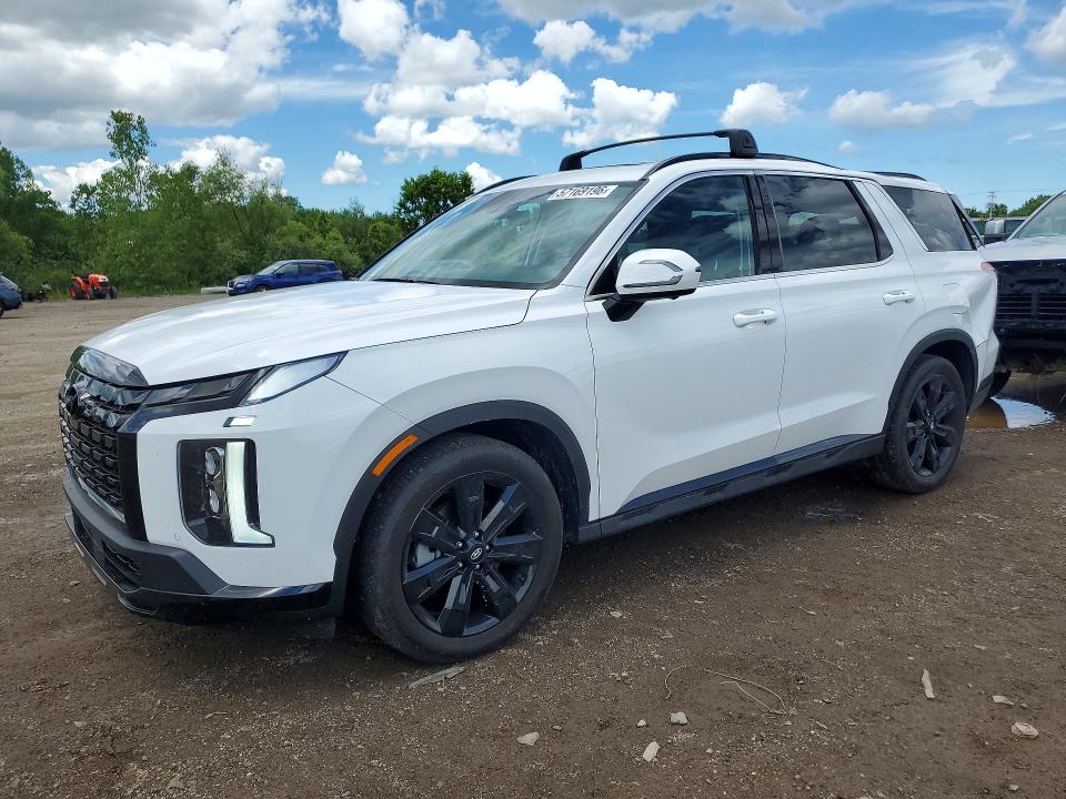 TOP/ROOF on 2025 HYUNDAI PALISADE X
