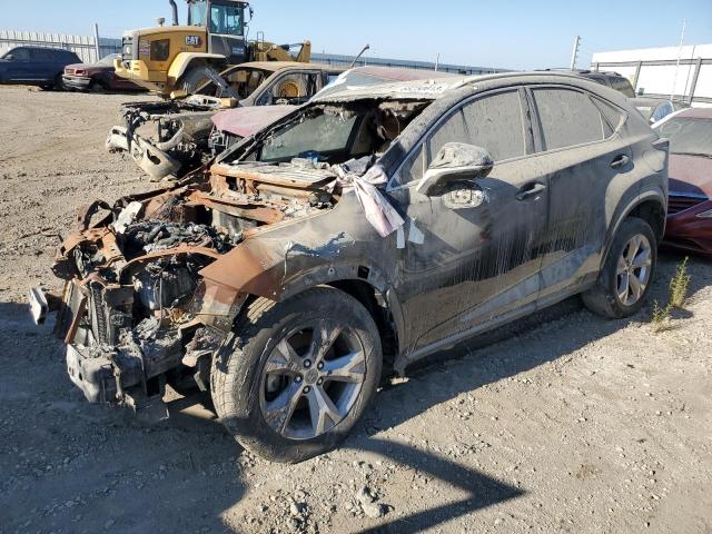 BURN damage on 2017 LEXUS NX — salvage auction listing